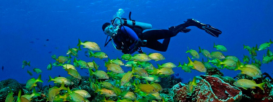 buceo-cancún