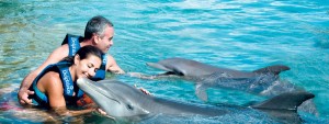 nadar-delfines
