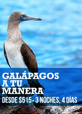 Galápagos a tu manera