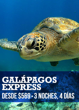 Galápagos express