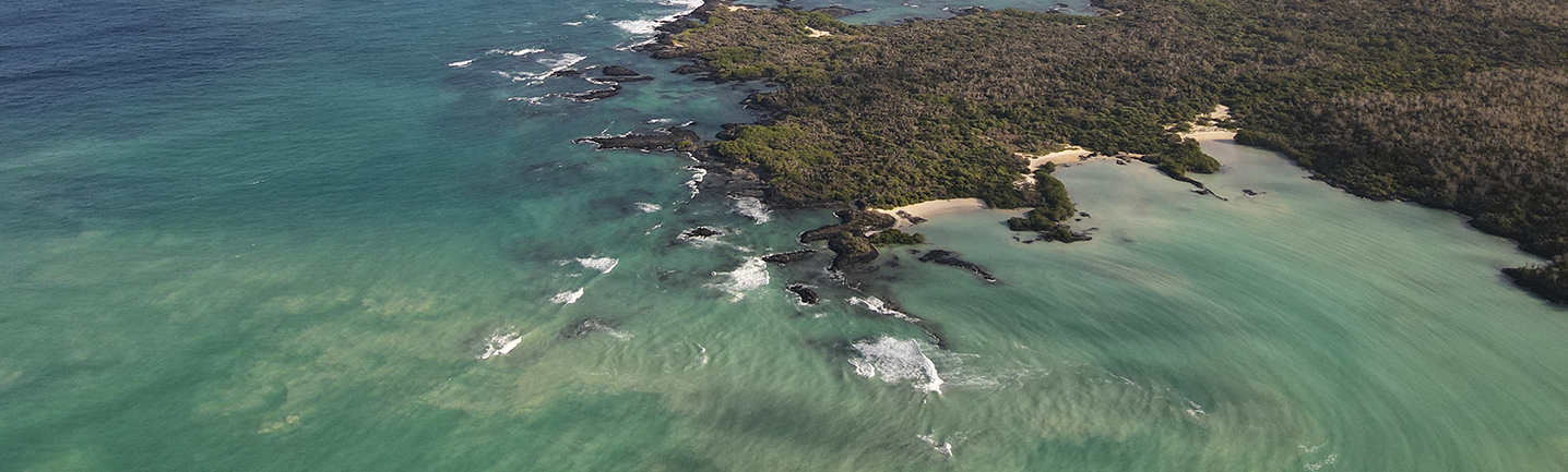 Descubre Galápagos